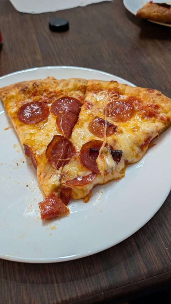 1st cook with new pizza steel