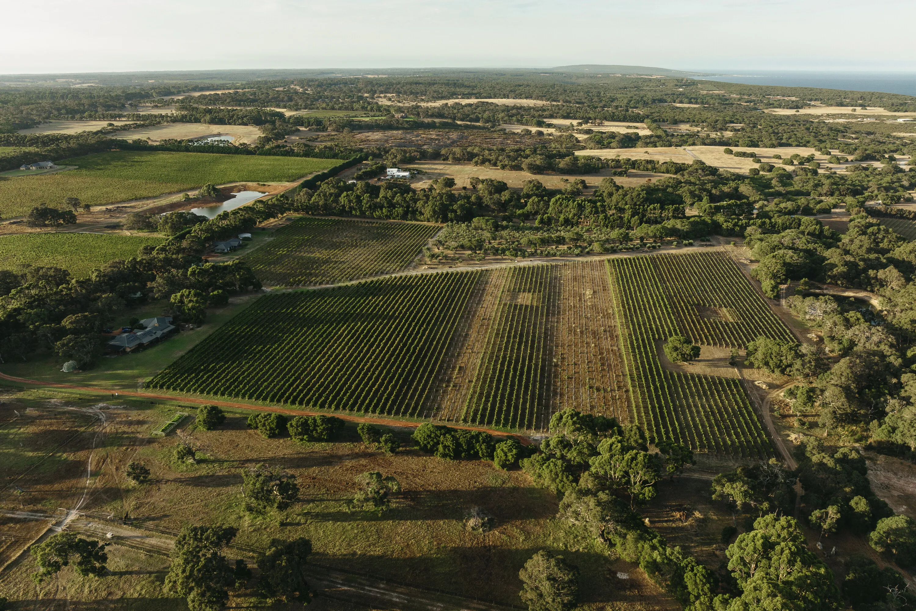 Aerial View of Arimia Estate, Wilyabrup