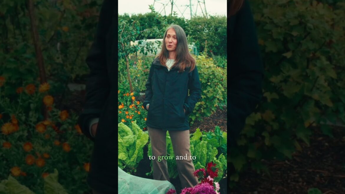 The 100kg (220lbs) Vegetable Gardening Challenge #gardeningideas