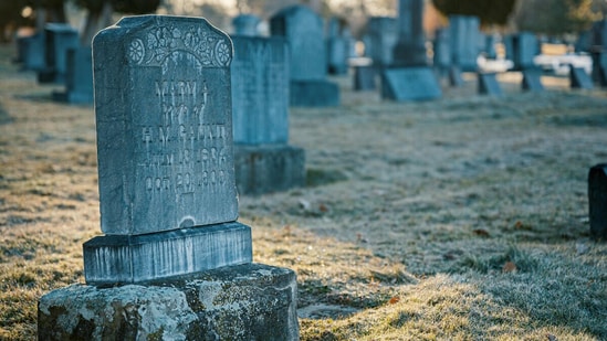 California woman cooks recipes etched on gravestones to honour the dead: ‘Recipes are to die for’ Cricket in L1