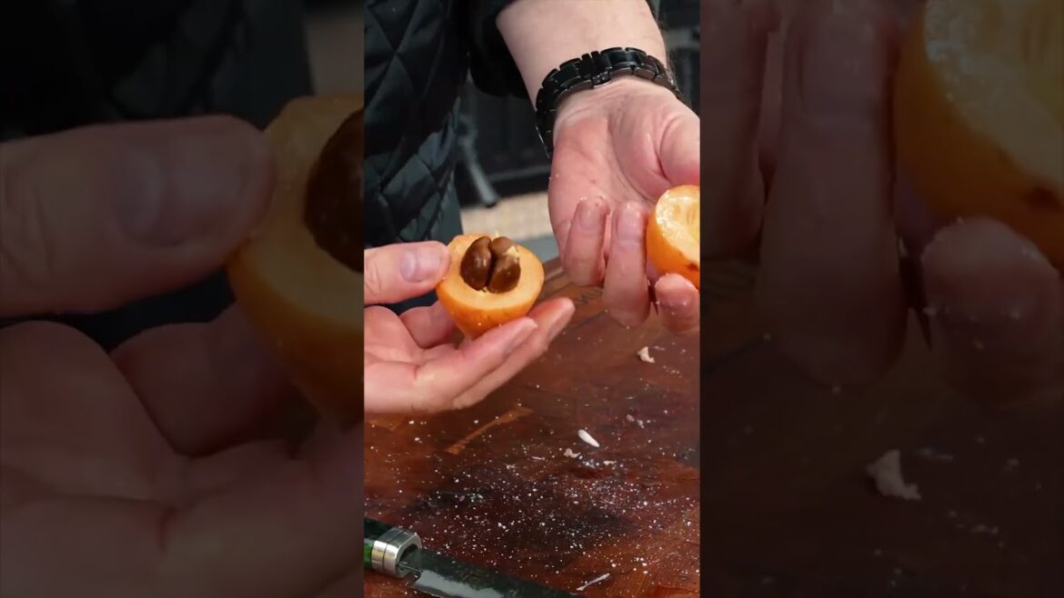 Шашлыки по турецки