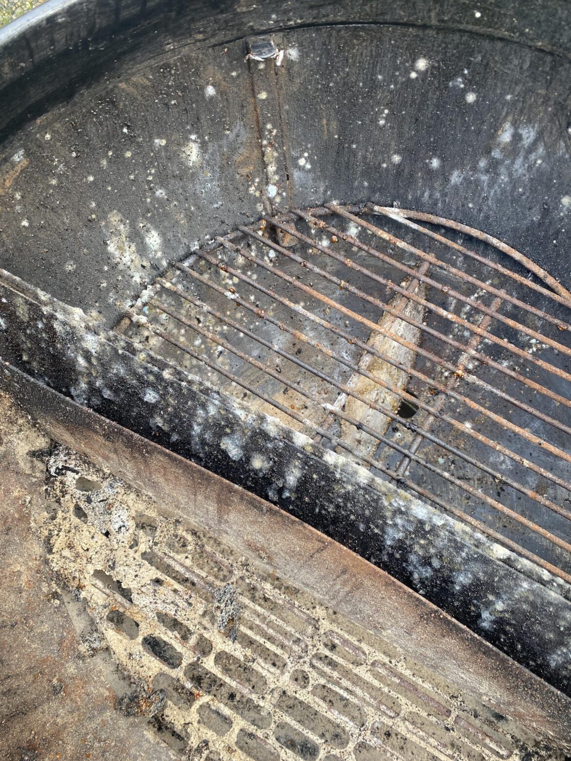 Haven’t used my kettle since October and just saw some mold, never had this happen before wtf