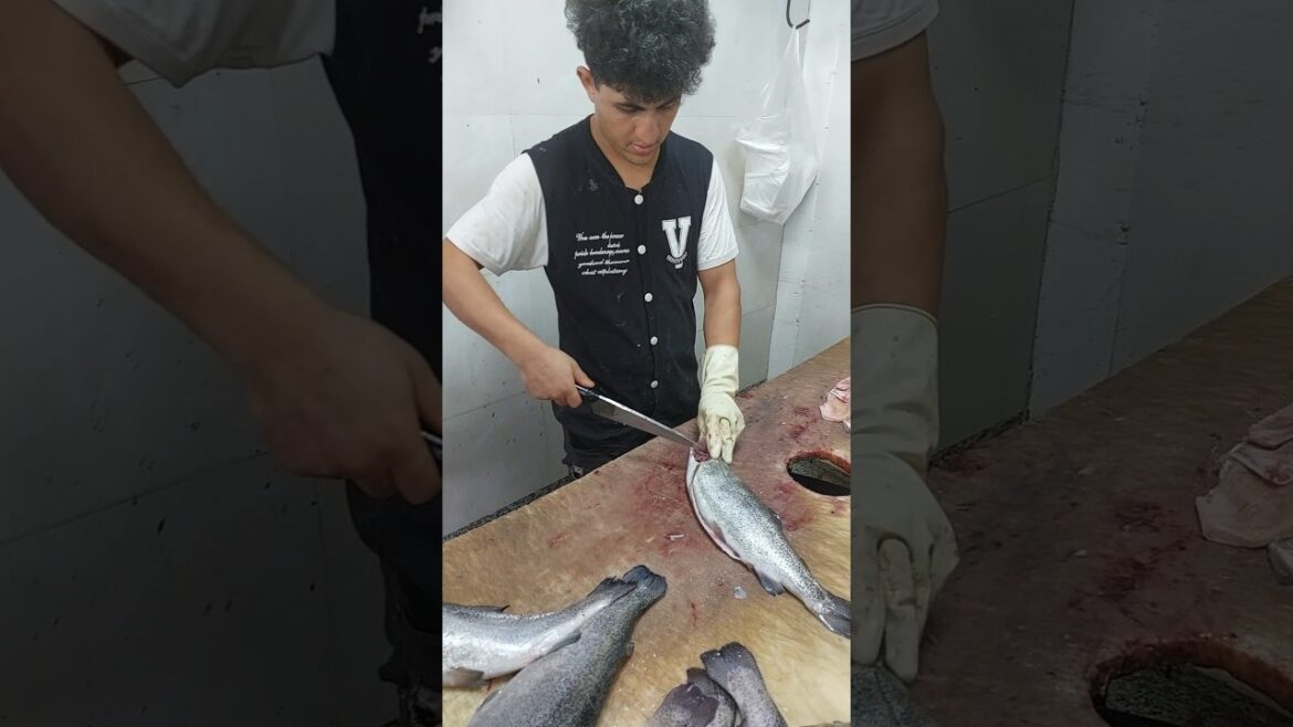 How to clean trout fish perfectly!