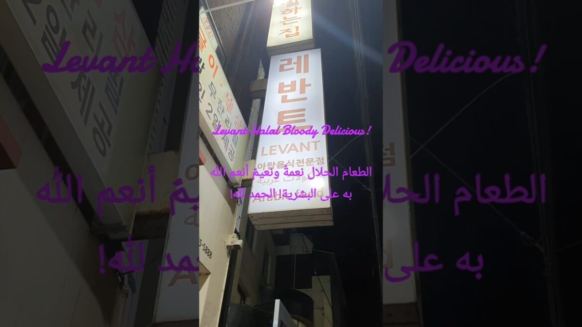 Lamb Hummus, Moroccan Bread, Halal mix grill