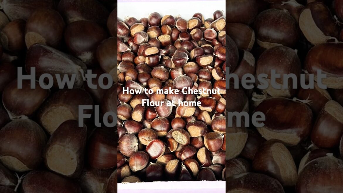 Easy Chestnut Flour #easy #chestnuts #fallrecipe #glutenfree