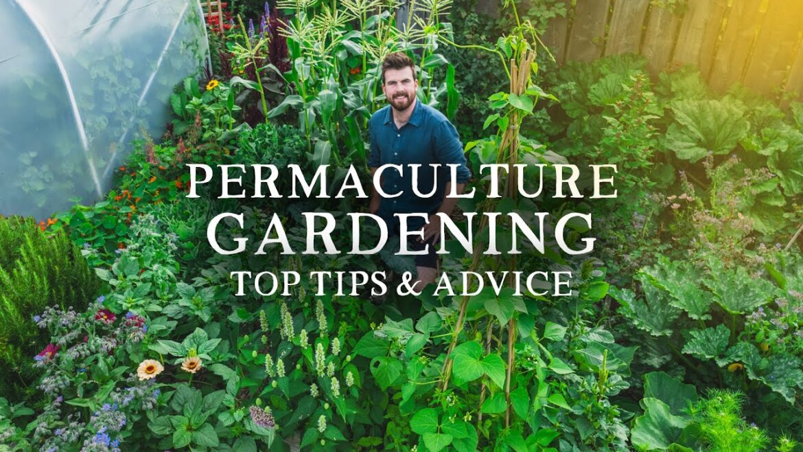 Permaculture Gardening Advice for Vegetable Gardeners (2 Hours of Top Tips)