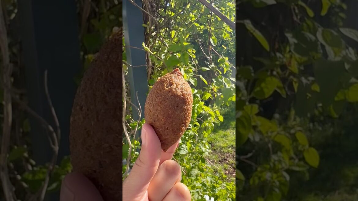 How to shape Kibbeh - learn how to make Lebanese Kibbeh #lebanesefood