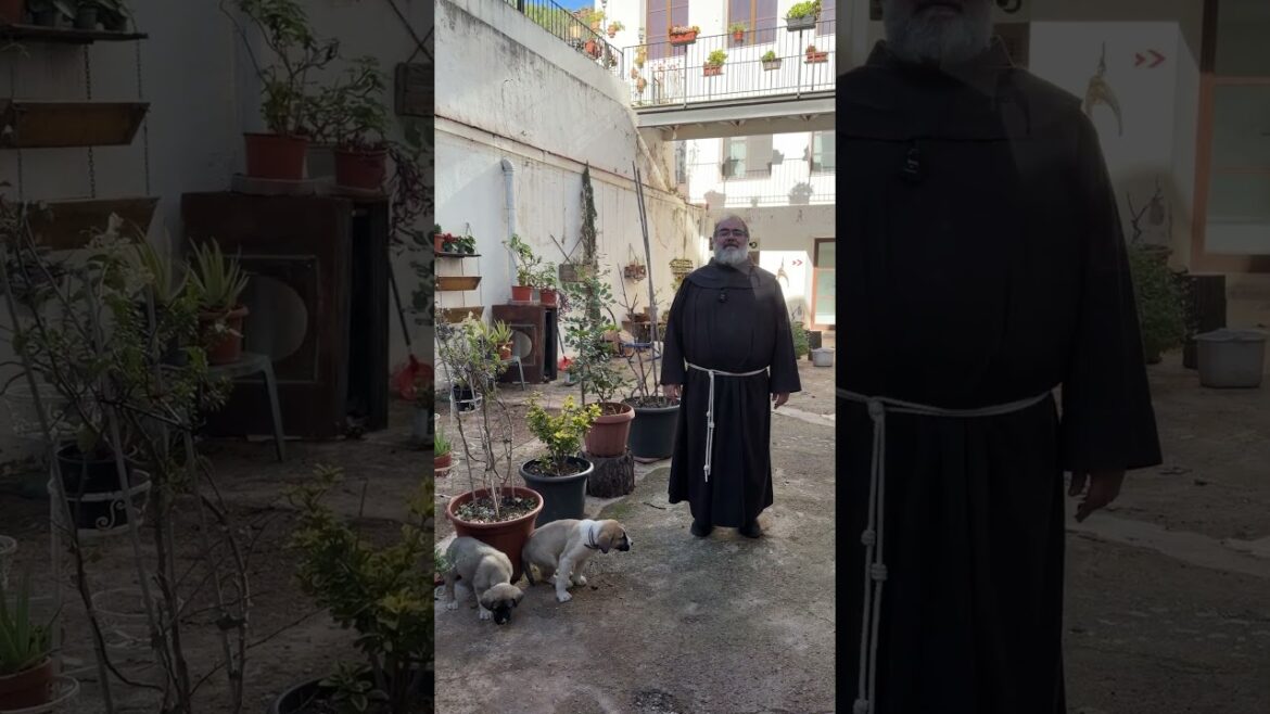 Short Mantecados manchegos #cocinamediterranea #cocina #cocinaconsabor