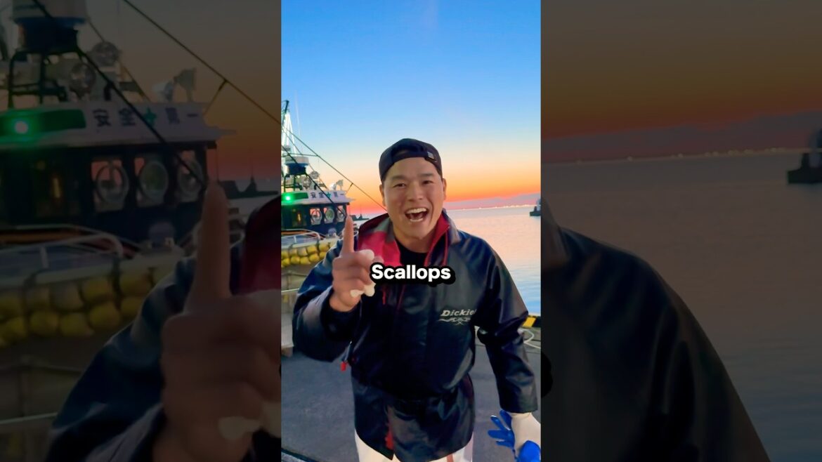 Let’s go get some Scallops!!