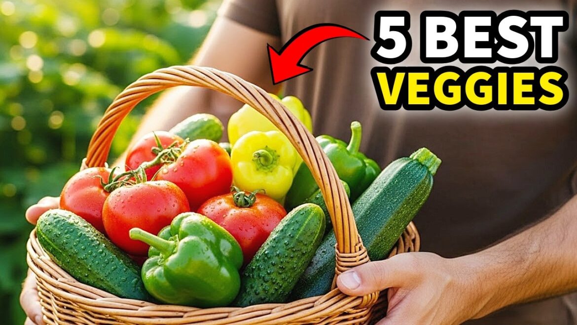 The 5 Most Productive Veggies I’ve EVER Grown! The 5 Most Productive Veggies I've EVER Grown!