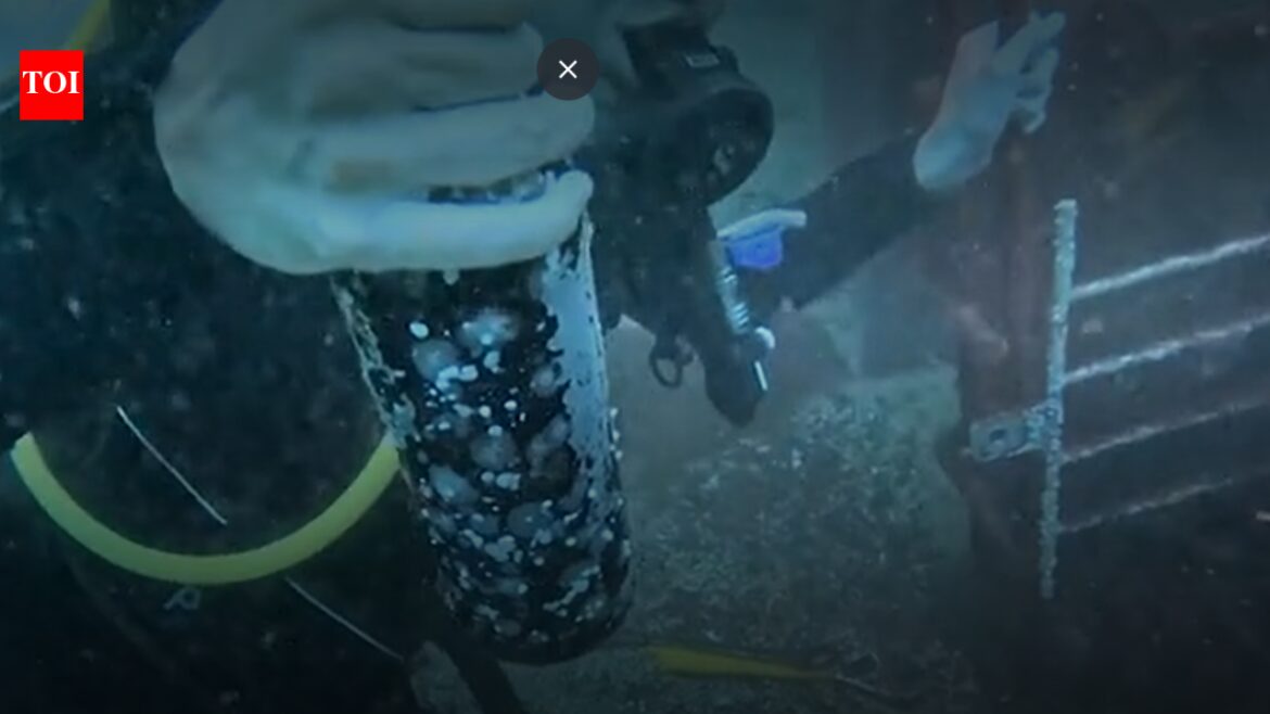 Why divers in Chile are putting wine bottles under the ocean in locked cages | World News