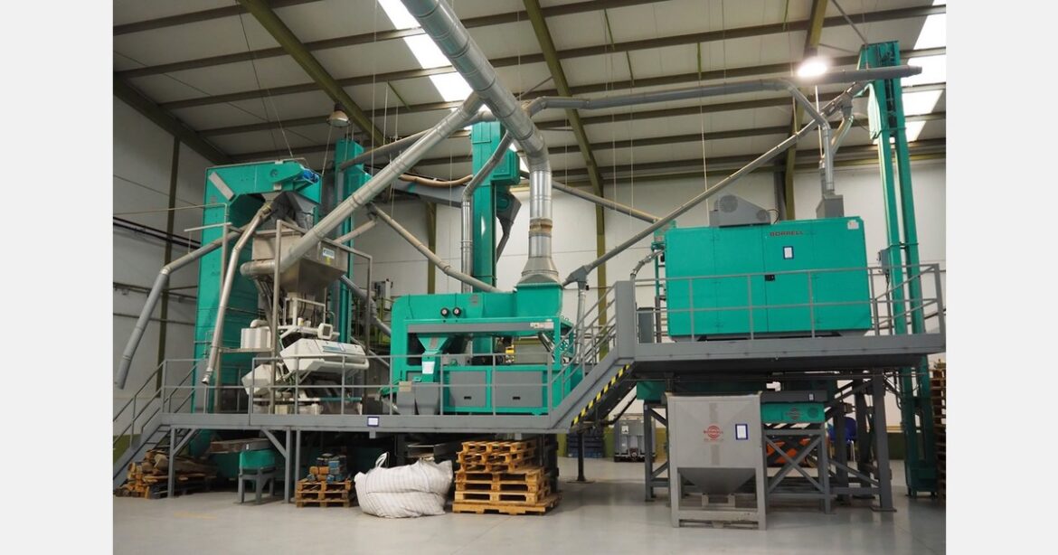 Machinery for the production of olive oil from pits on behalf of Gordon Brothers