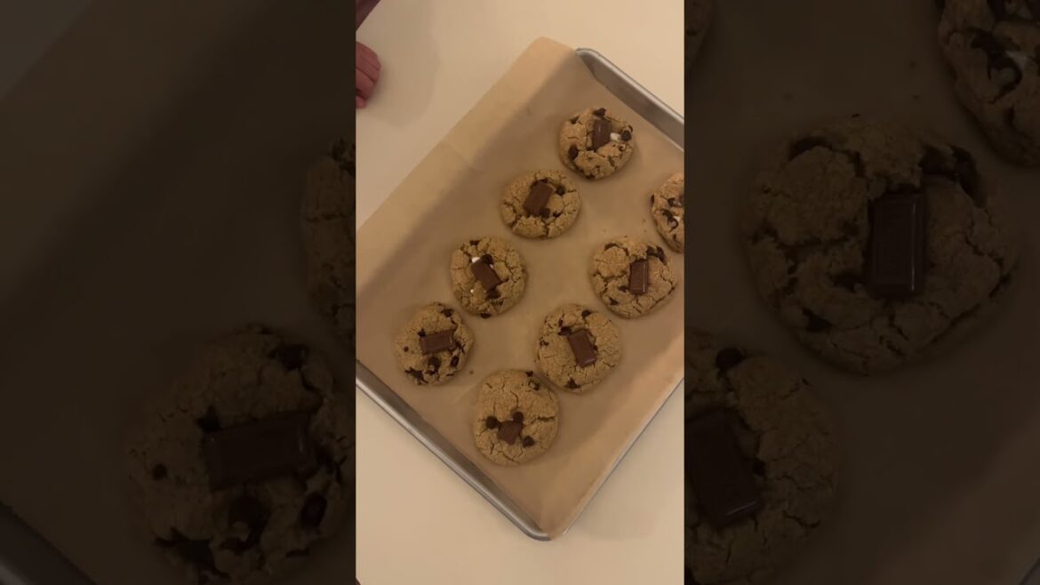 Smores Cookies reaction video: Deadpan Diya #29