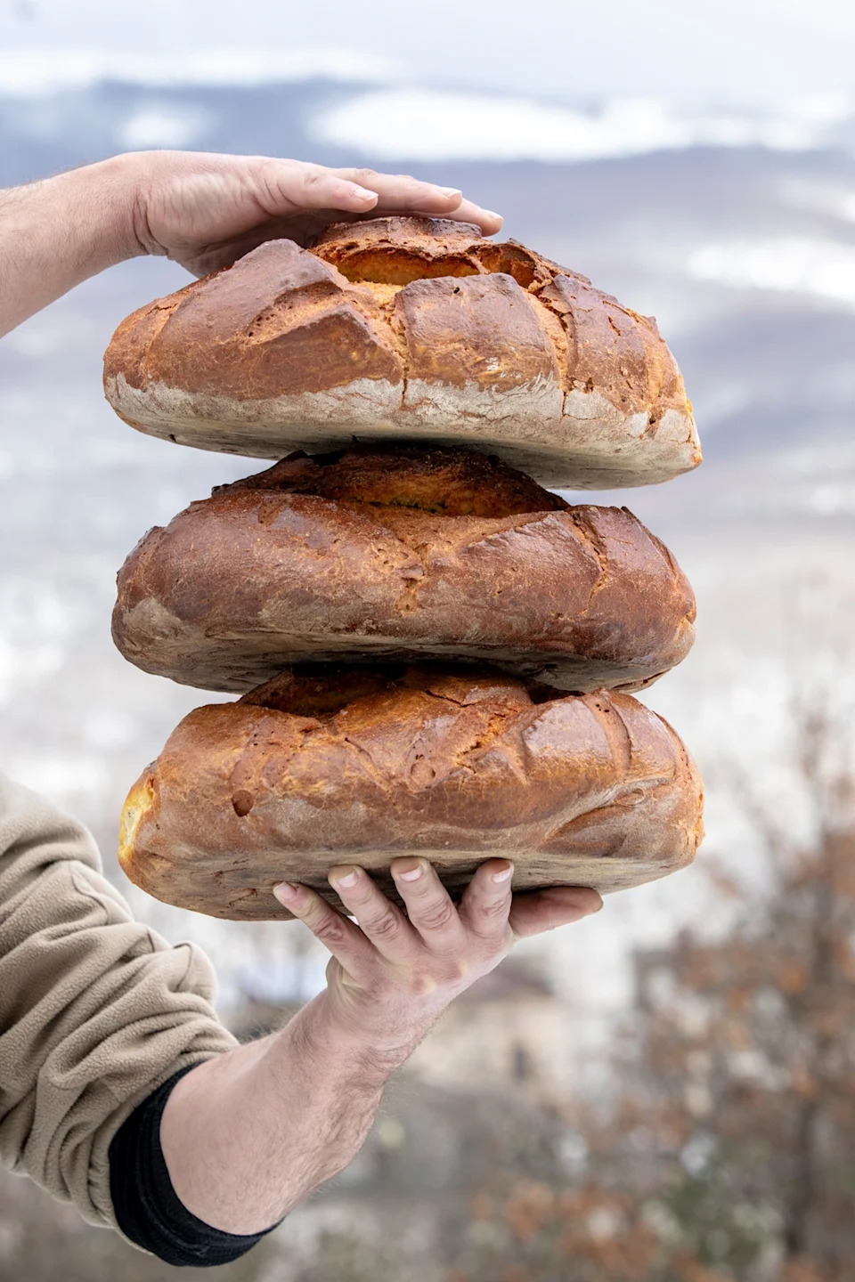 The typical bread, knowed as “Panetta” that is offered along with fava bean soup on the morning of January 17.