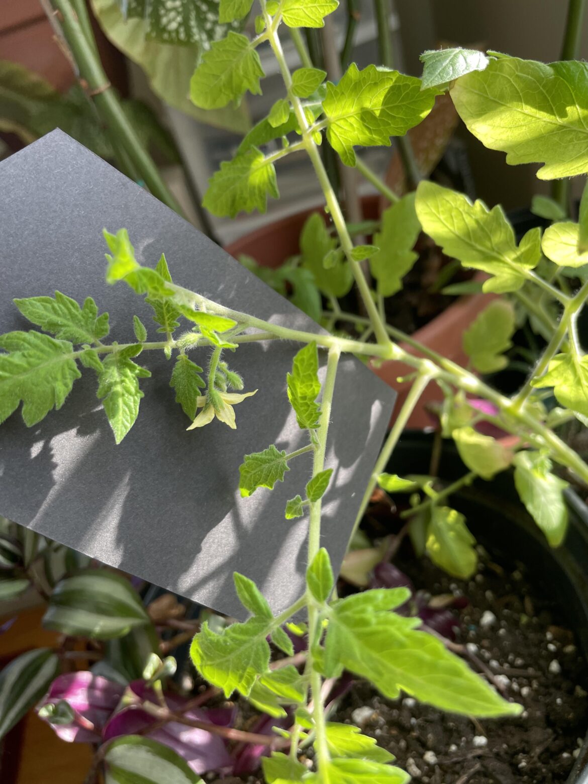 What a tease! What a tease!