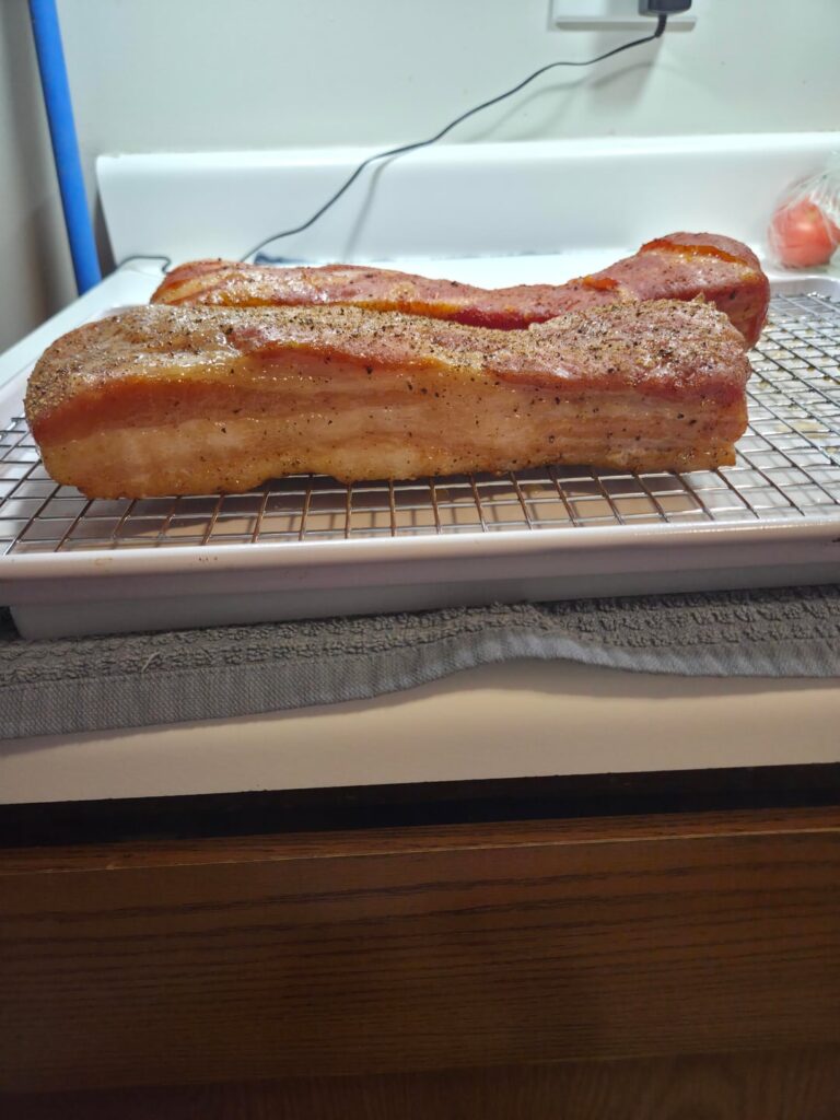 First attempt at bacon.