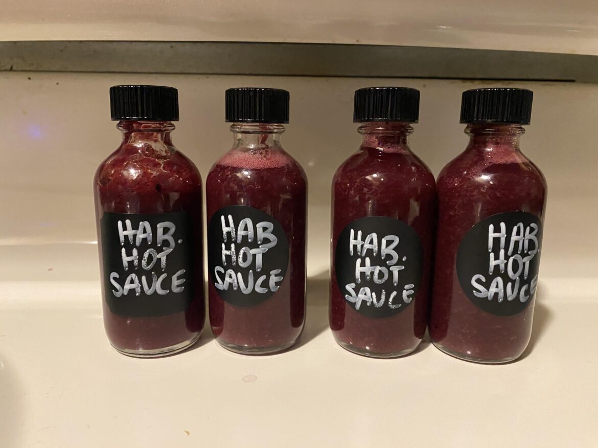 Made blueberry habanero sauce tonight