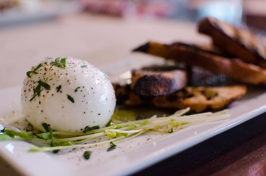 Bevo Pizzeria - Best Burrata in Montreal