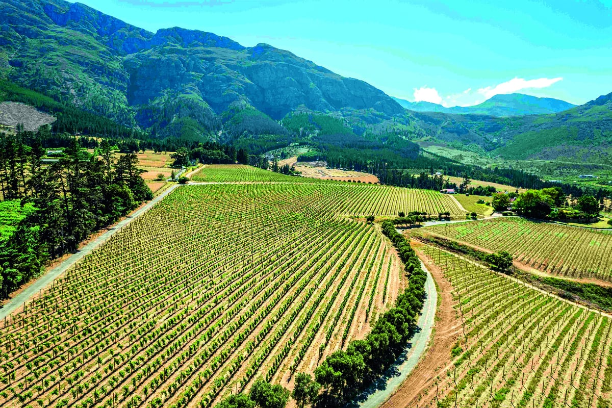 Mountain vineyards: Chamonix was acquired by a
Norwegian investor