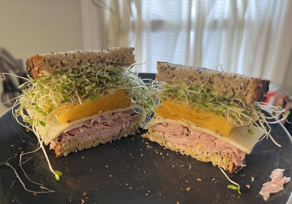 Ham, havarti, tomato, sprouts and honey mustard on Seeduction bread (I didn’t name it, but I appreciate it)
