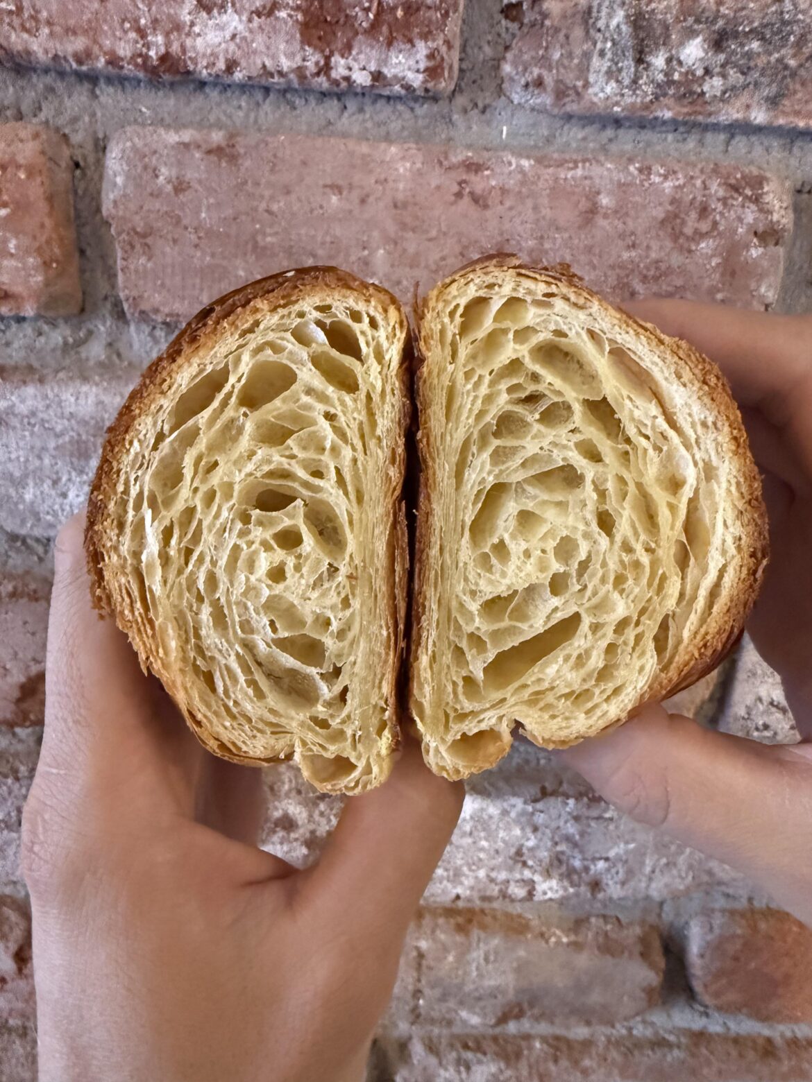 My husband has been chasing croissant perfection for a long time. I think he’s getting really close. Would love honest feedback from people who know their pastries.