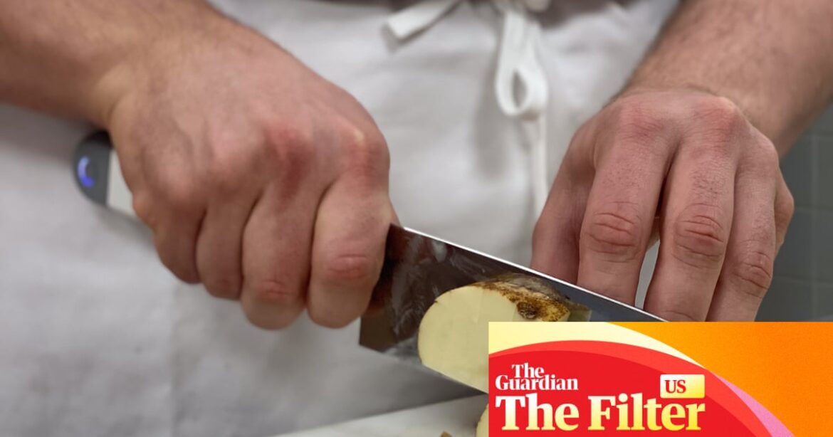 Seattle UItrasonics C-200 knife review: a powered knife even a pro chef can love | Food