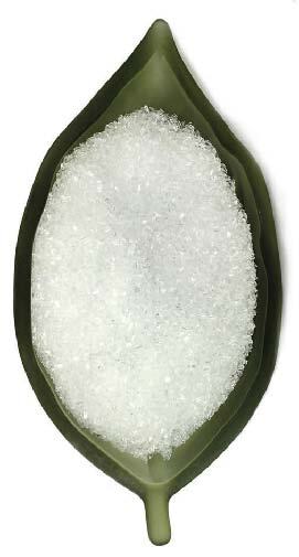 PHOTO COURTESY OF BRANDS