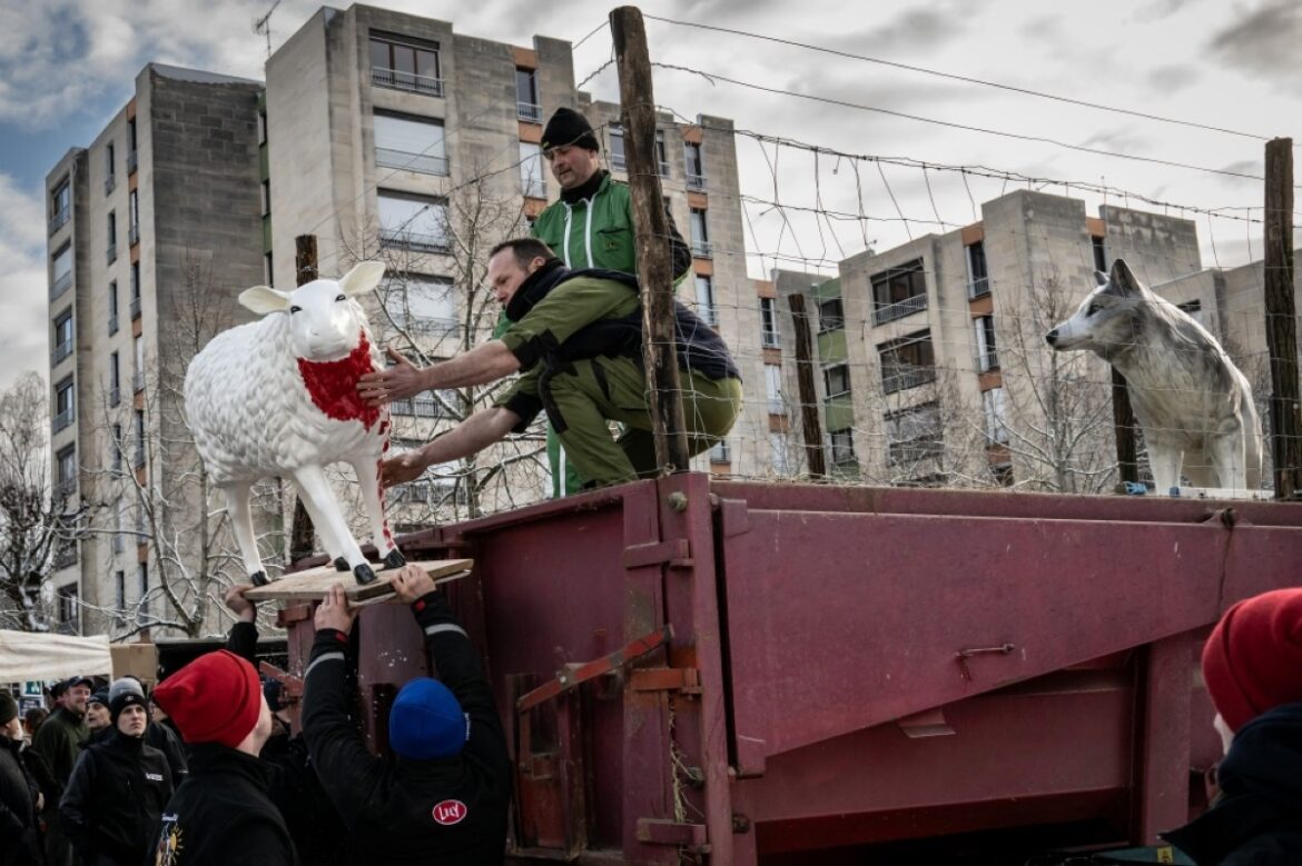 A farmer places a sheep replica next to a wolf replica on a tractor during a protest against the existence of wolves in Haute-Marne, which endanger sheep herds in Chaumont, north-eastern France, on January 3, 2026. -- AFP
