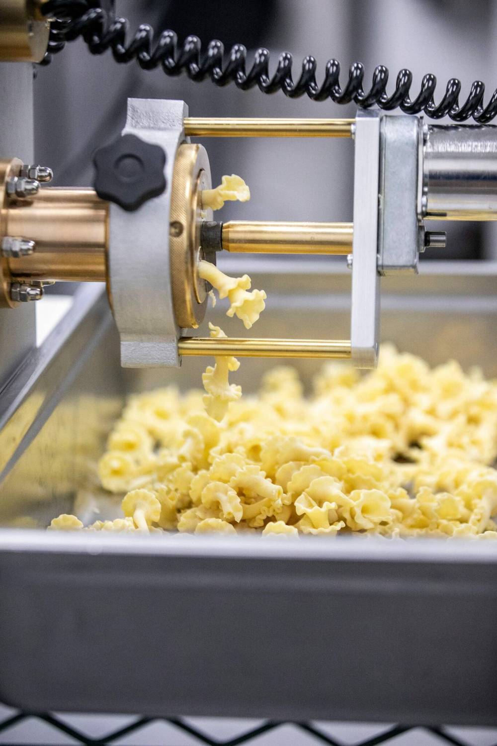 MIKAELA MACKENZIE / FREE PRESS
                                A high-end extruder from Europe produces fresh campanelle pasta.