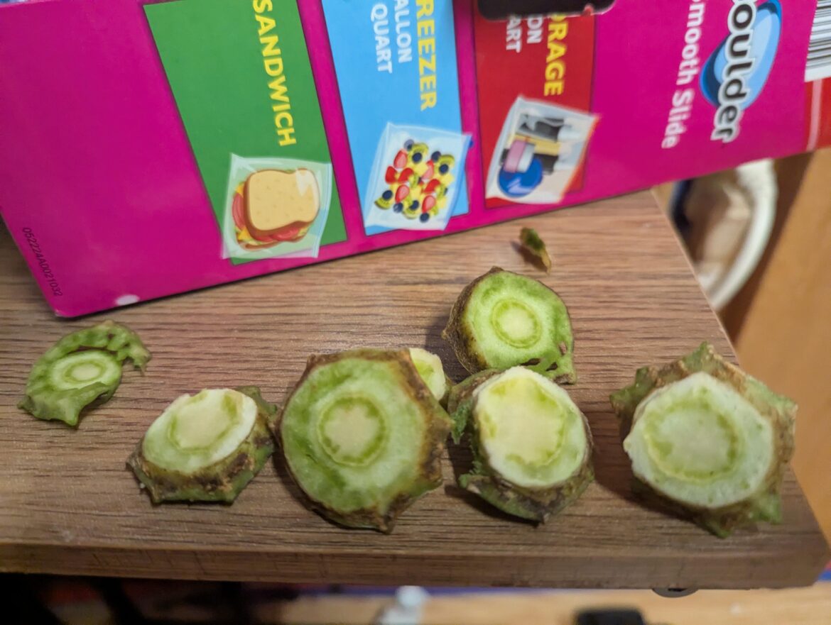 Does this look like mold?