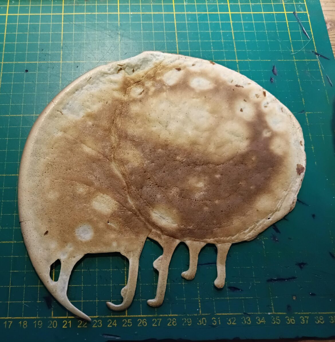 Fat ant-eater I cooked