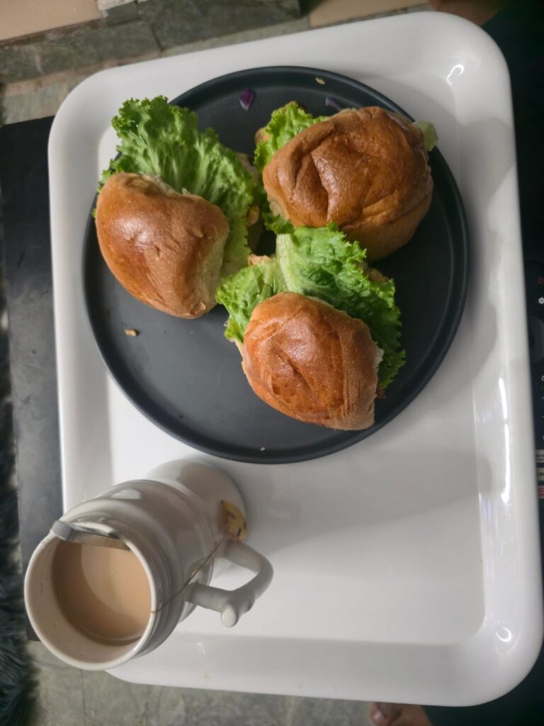 Homemade Hamburger 🍔