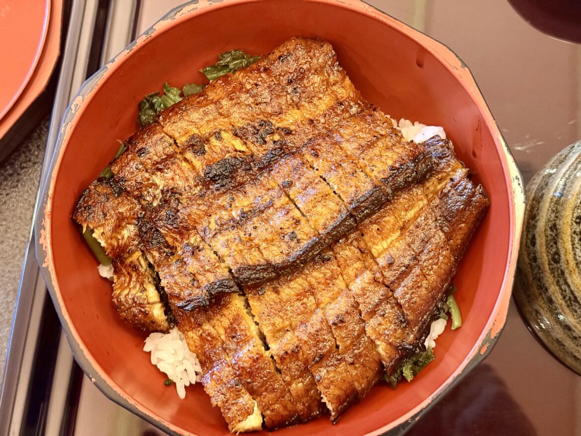 Unagi don from Nishio, Japan [OC]