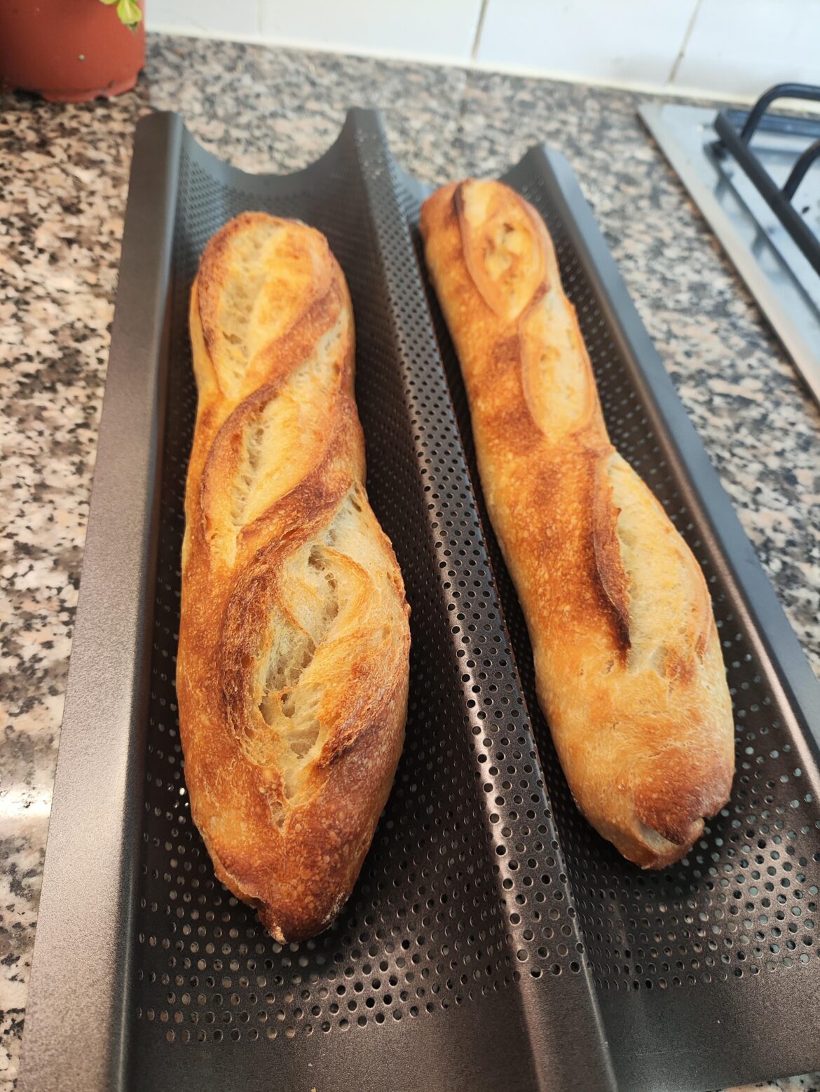 First attempt at making traditional baguette