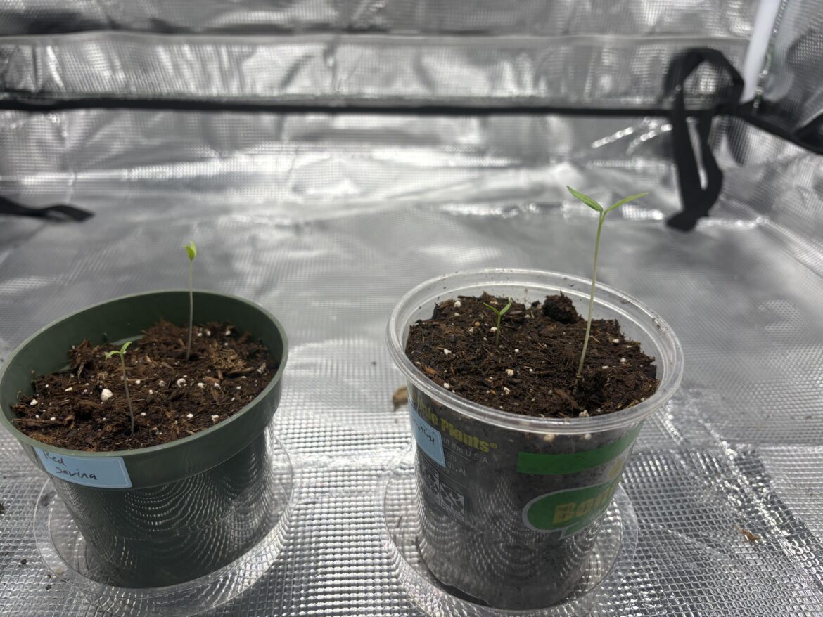 Is it better to lower the light or increase brightness?