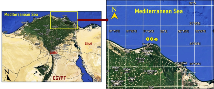 Health hazard assessment and cooking effects on toxic metals in marine fish from the mediterranean sea at the Damietta Coast, Egypt Health hazard assessment and cooking effects on toxic metals in marine fish from the mediterranean sea at the Damietta Coast, Egypt