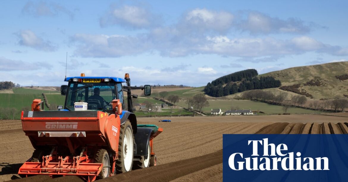 The looming risk of food shortages and anarchy in the UK | Farming