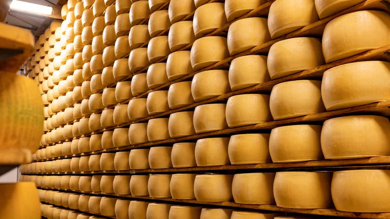 wheels of Parmigiano Reggiano stored on shelves