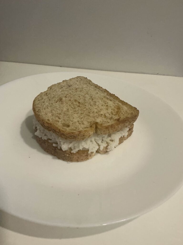 Rice sandwich. Not really bad! Way too dry if you dont add something, i added a dab of mayo and soysauce
