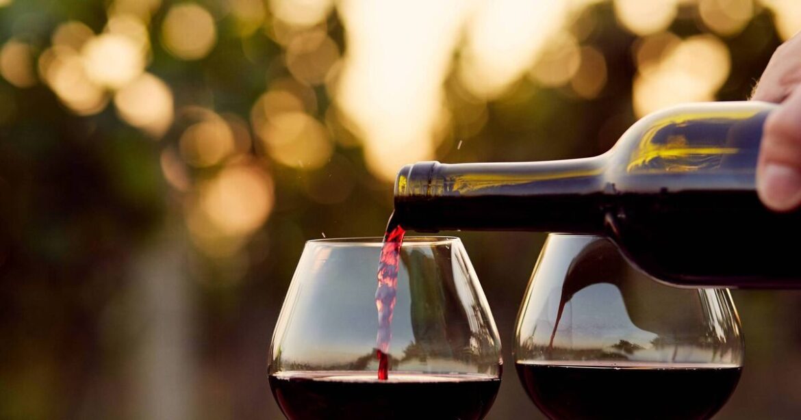 Why Piedmont is my favourite Italian destination