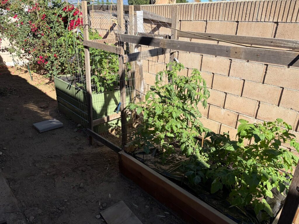 Southern California, survived the wind.