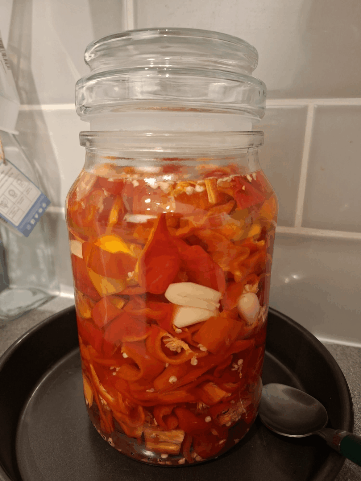 Ordered a kilo of scotch bonnet chillies which are now fermenting for hot sauce!