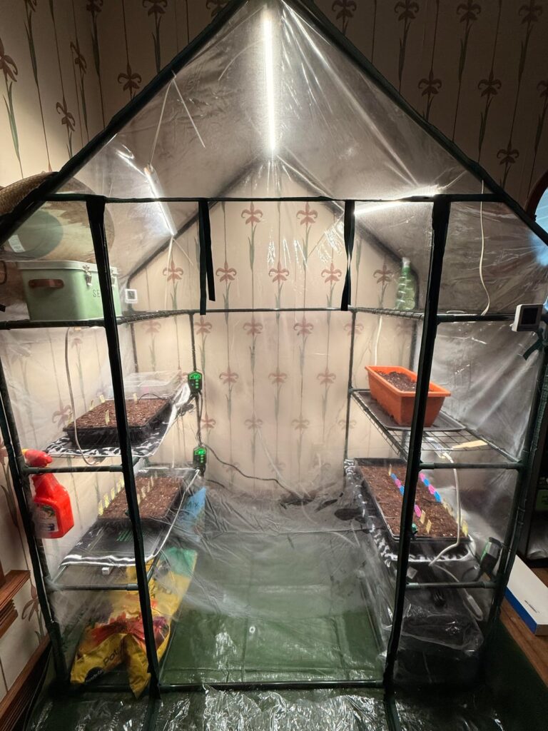 Just planted my vegetable seeds for this spring!