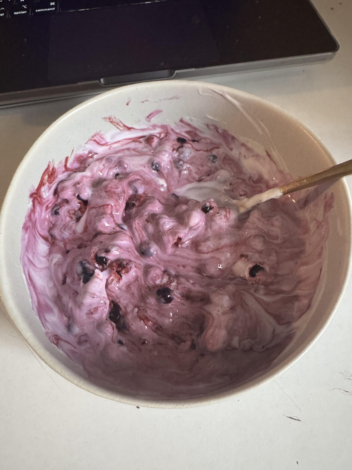 Homemade Yogurt With Frozen Bilberries