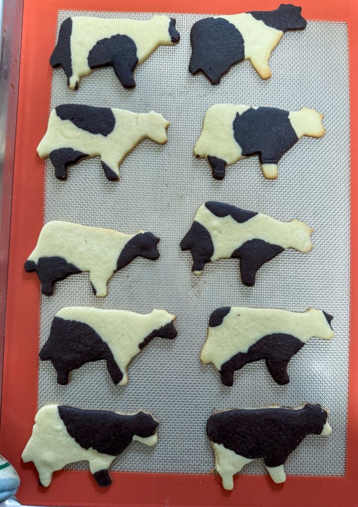 Chocolate & Vanilla Cows