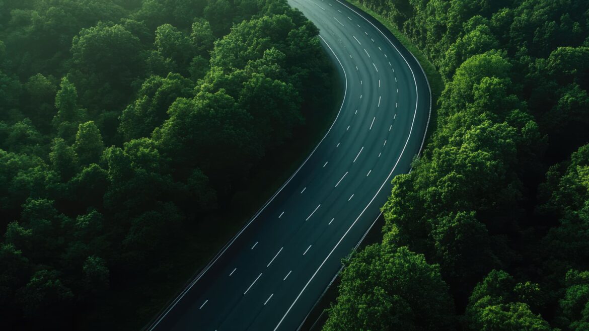 Olive Pit Biochar Shows Promise as Low-Carbon Alternative in Concrete Production Olive Pit Biochar Shows Promise as Low-Carbon Alternative in Concrete Production