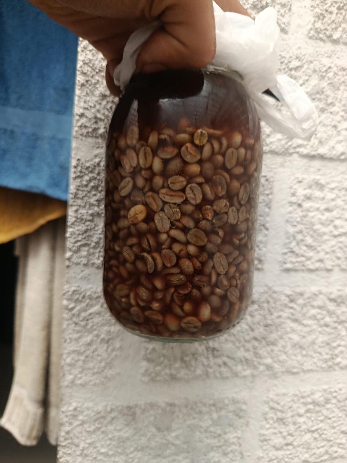 Co-fermenting it with sweet wine , kombucha and salt (mixed fermentation acetic-lactic)