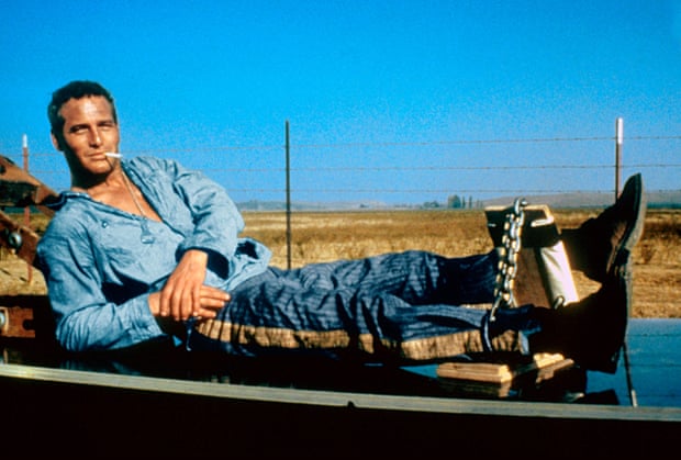 Paul Newman in Cool Hand Luke.
