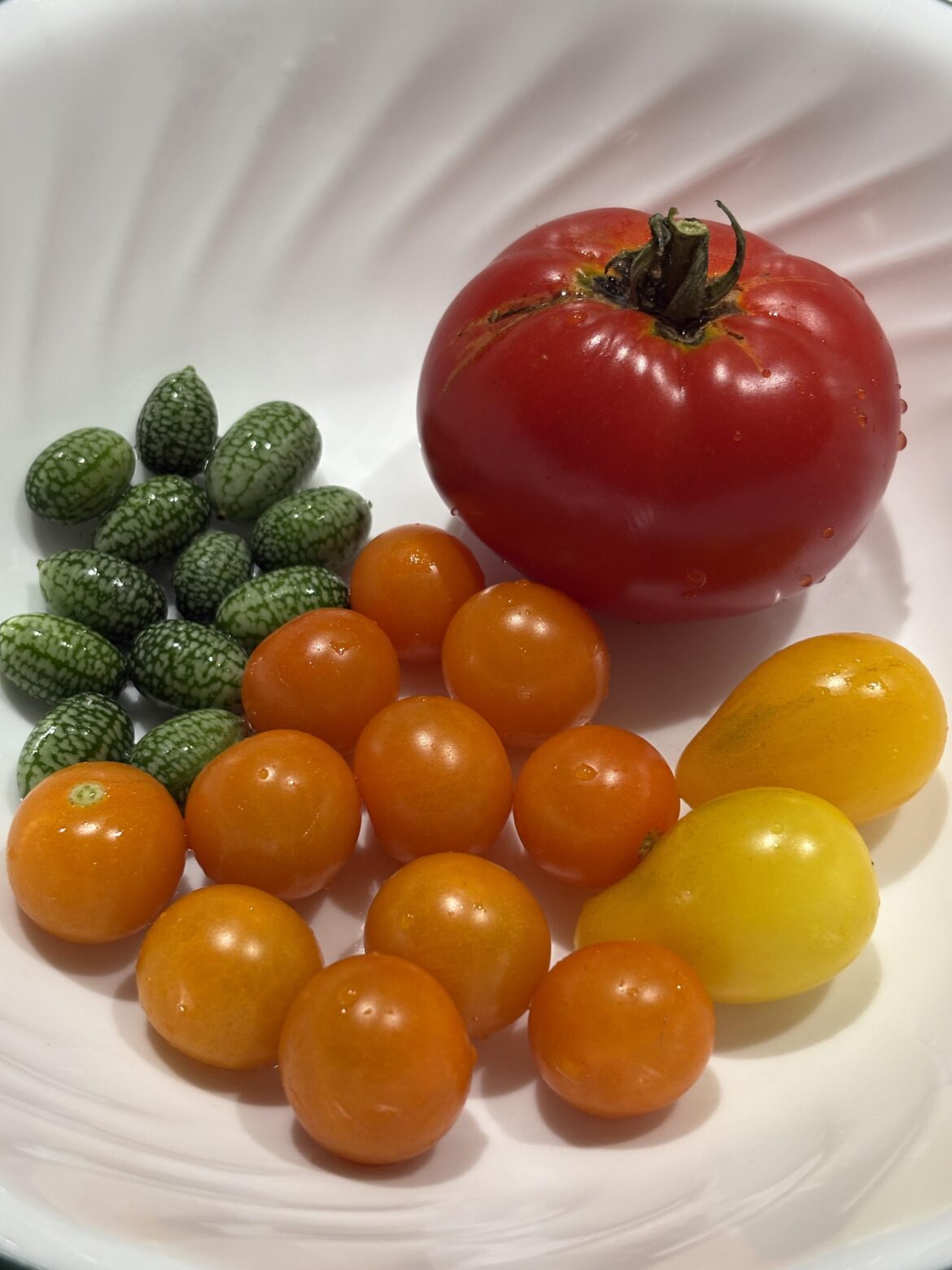 Not bad for a few 5 gallon grow bags