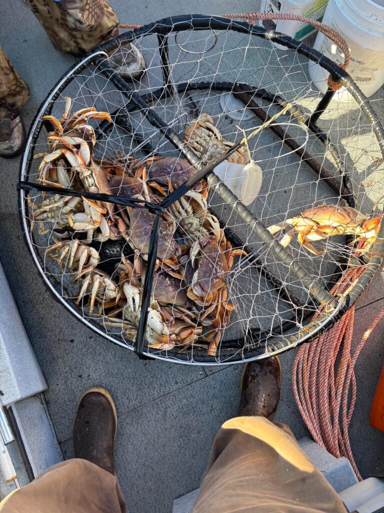 Another day another limit Another day another limit